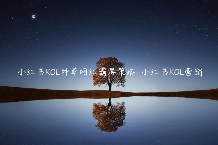 小紅書KOL種草網(wǎng)紅霸屏策略-小紅書KOL營(yíng)銷